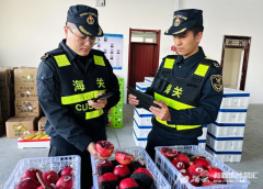 新疆外贸缘何逆势上扬